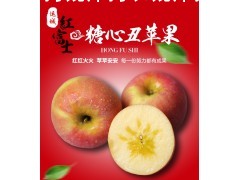 红富士“糖心丑苹果”毛重10斤彩箱礼盒包邮，颜值朴素、脆甜多汁、性价比高水果图1
