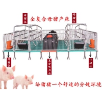 母猪产床双体产床塑料保温箱猪位60厂家现货出售