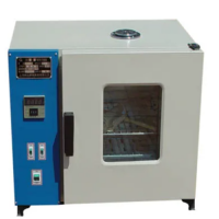 常规智能型干燥箱FXB101-1数显电热鼓风干燥箱