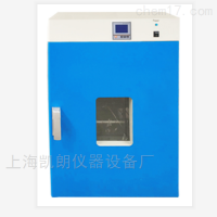 上海凯朗250度电热恒温鼓风干燥箱立式DHG-9070A