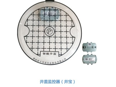 物联网智能井盖系统-智能窨井盖  湖南新光图1