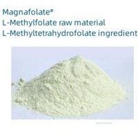 Magnafolate C 5-甲基四氢叶酸生产厂家