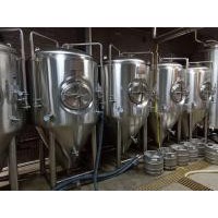 3000升精酿啤酒设备 河南啤酒设备厂家供应