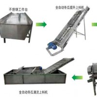 冬瓜蓉加工机器 全自动冬瓜蓉生产线厂家玉祥