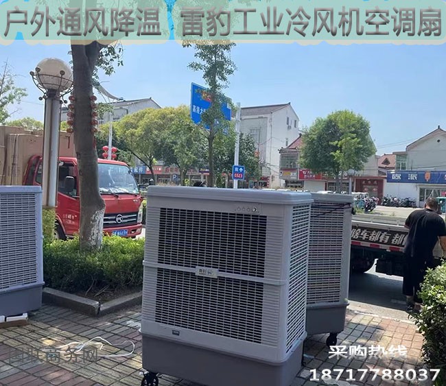 户外通风降温雷豹工业冷风机空调扇