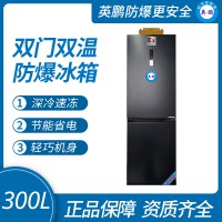 珠海双温防爆冰箱300L 双门立式冷冻冷藏冰柜